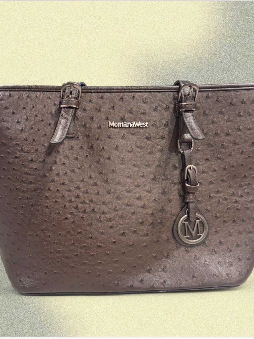 Montana West Chocolate Brown Ostrich-Texture Tote with Medallion Accent